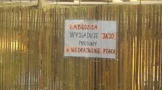 Informacja zamieszczona przez urzędników