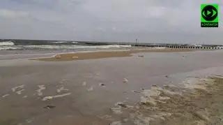 Informację o zanieczyszczeniu plaż otrzymaliśmy w sobotę