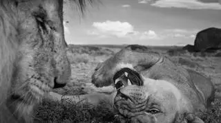 "Intimacy" Michael 'Nick' Nichols, USA