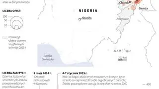 Islamistyczna rebelia w Nigerii 