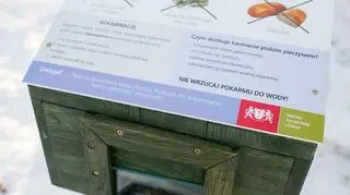Jak dokarmić ptaki? 