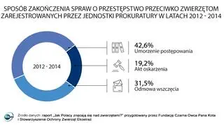 Jak kończyły się sprawy o przestępstwa przeciwko zwierzętom?