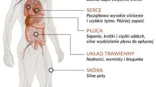 Jak zabijają substancje paralityczno-drgawkowe