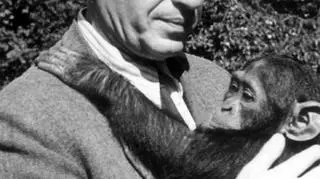 Jan Żabiński był dyrektorem warszawskiego zoo od 1929 do 1951 roku