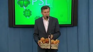 Janusz Piechociński, prezes PSL w latach 2012-2015