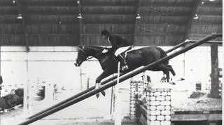 Jazda w ujeżdżalni, Hipodrom Sopot, 1979