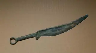 Jeden z odnalezionych artefaktów 