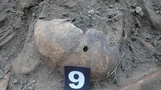 Jeden z żołnierskich artefaktów znalezionych w Glince 