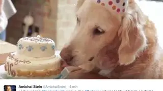 Jednym z prezentów był tort