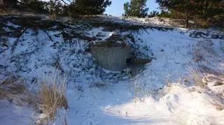 Jest i drugi "grzybek" 