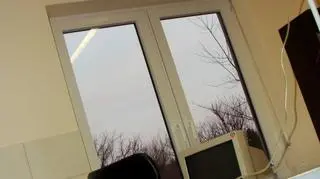 Jeż pod kroplówką