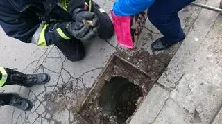 Kaczuszki wpadły do studzienki kanalizacyjnej