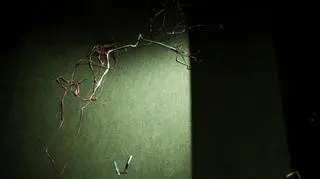 Kadr z filmu "15 stron świata"