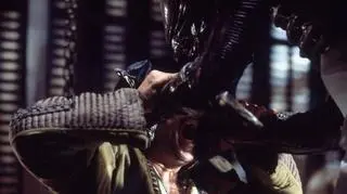 Kadr z filmu "Obcy - ósmy pasażer Nostromo"