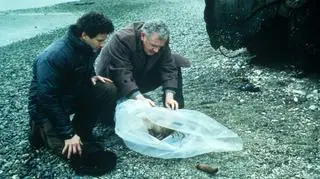 Kadr z serialu "Miasteczko Twin Peaks"