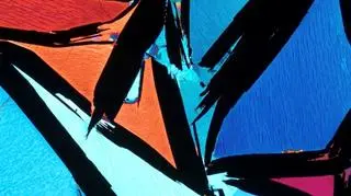 "Kaleidoscope" Bernardo Cesare, Indie