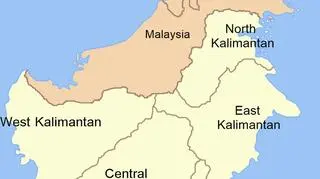 Kalimantan to indonezyjska część wyspy Borneo