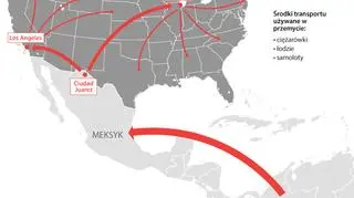 Kanał przerzutowy narkotyków kartelu Sinaloa do USA