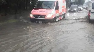 Karetka na Dolnej Wildzie