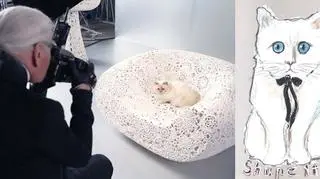 Karl Lagerfeld sfotografował swoją pupilkę do kampanii reklamowej linii Shu-Pette, a także ją narysował