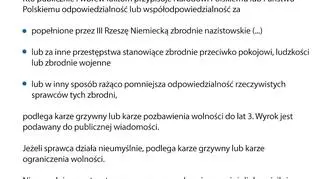 Karna ochrona dobrego imienia Polski i Polaków (wg rządu)