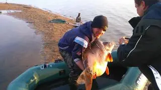 Karp gigant połamał podbierak