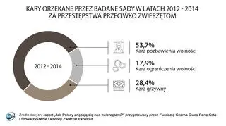 Kary za przestępstwa przeciwko zwierzętom