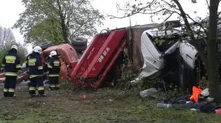 Kierowca chciał ominąć psa znajdującego się na jezdni