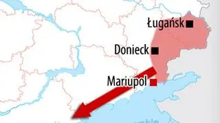 Kierunek mariupolski