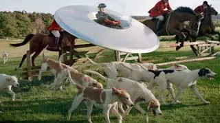 Kinga Rajzak na polowaniu na lisy, 2009