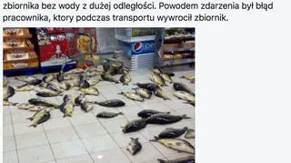Klient o akcji ratowniczej kaprii