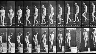 "Kobieta schodząca po schodach" z 1887 roku to fotografia, na której Muybridge zarejestrował  ludzki ruch  