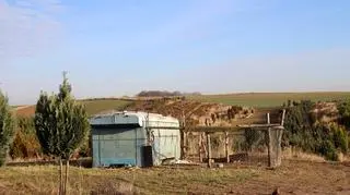 Kojec w którym żyły zwierzęta