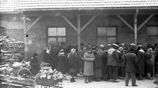 Kolejki po węgiel w Krakowie