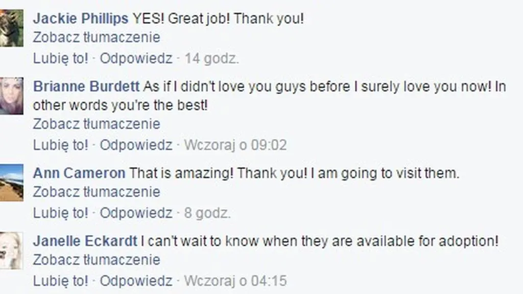 Komentarze na Facebooku