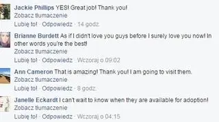 Komentarze na Facebooku