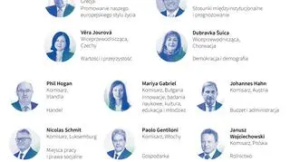 Komisja Europejska