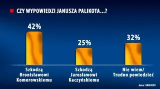 Komu szkodzi Palikot?