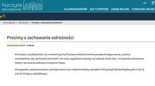 Komunikat urzedu miasta w Pszczynie w sprawie pumy