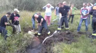 Koń utknął na torfowisku 