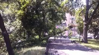 Konar runął nagle