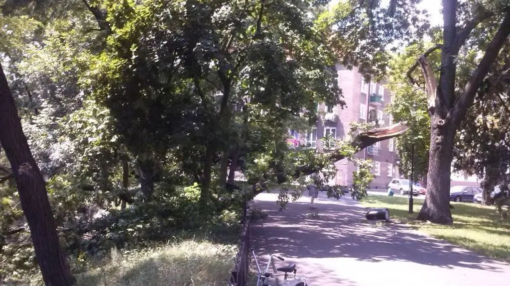 Konar runął nagle