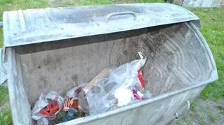 Kontener w którym znaleziono martwe szczeniaki