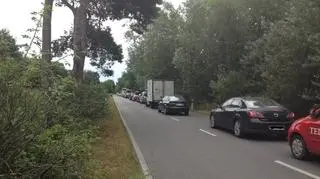 Korek na półwyspie