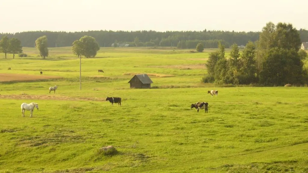Korkożyszki
