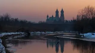 Kormoran nad Cybiną zostawiał po sobie ścieżkę na wodzie