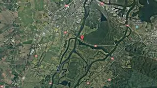 Kot zaginął na południowych obrzeżach Szczecina