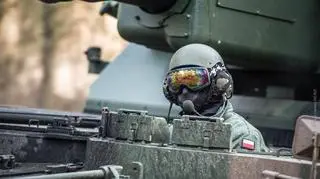 Kraby na poligonie