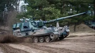 Kraby na poligonie