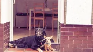 Kraksa i Szyszka odpoczywają między kolejnymi zdjęciami w Powoli